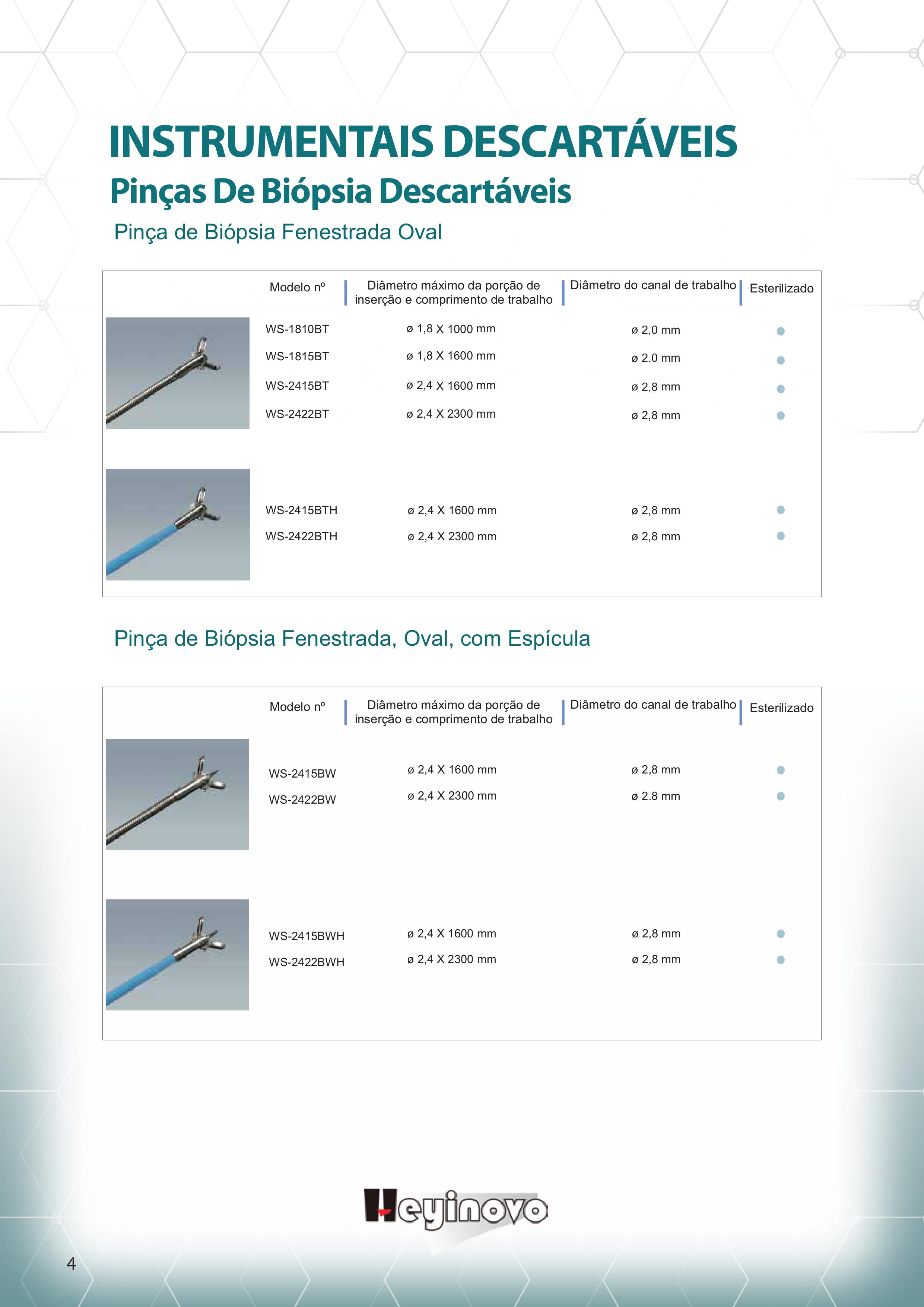 Endoterapia